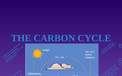 The Carbon Cycle by NaTasha Franklin on Prezi
