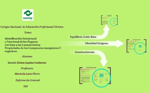 medidas preventivas para la obesidad exogena