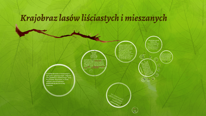 Krajobraz lasów liściastych i mieszanych by Julia Norek on Prezi