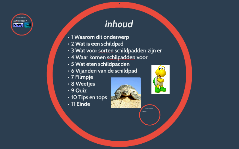 mijn spreekbeurt gaat over schildpadden by Rik Remijn on Prezi