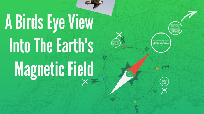A Birds Eye View Into The Earth's Magnetic Field by Mssmurray m on Prezi