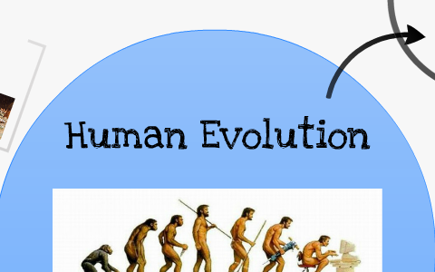 Human Evolution by Johayne Miranda on Prezi