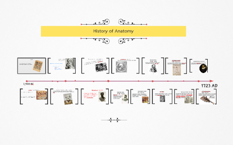 History of Anatomy by Rocky Hansen on Prezi