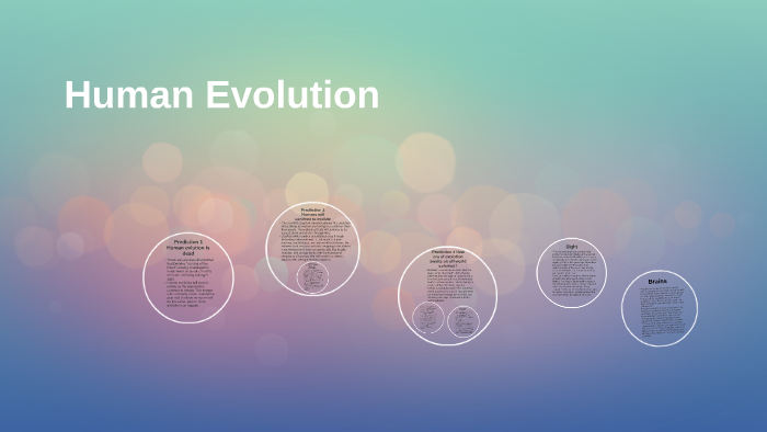 Human Evolution by Alyssa Batog on Prezi