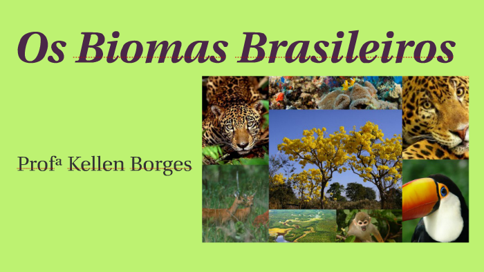 Biomas Brasileiros by on Prezi