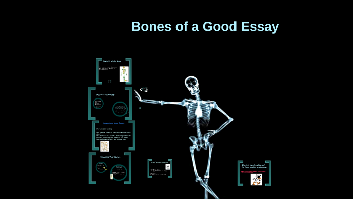 i am the bone of my essay