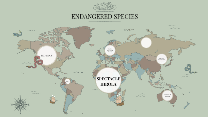 endangered species by Marta Marta on Prezi