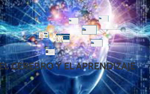 EL CEREBRO Y EL APRENDIZAJE by Cris Siranaula on Prezi