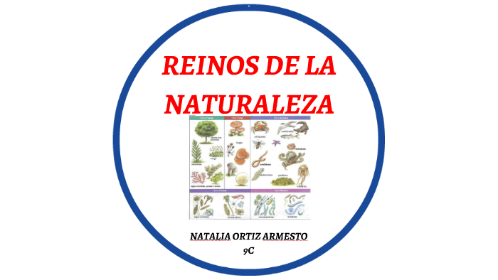 REINOS DE LA NATURALEZA by natalia ortiz on Prezi