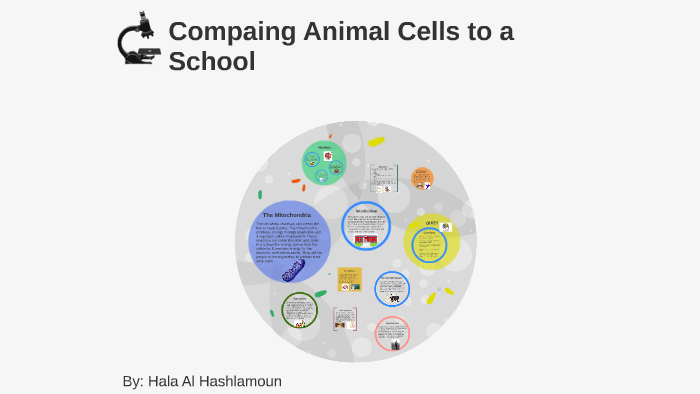 Comparing Animal Cells to a School by Hala Al Hashlamoun on Prezi