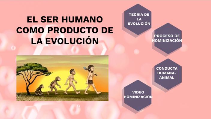 El Ser Humano Como Producto De La EvoluciÓn By Talia Escobar 5125