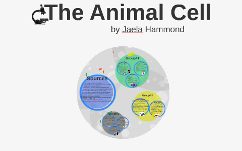 The Animal Cell by Jaela Hammond on Prezi