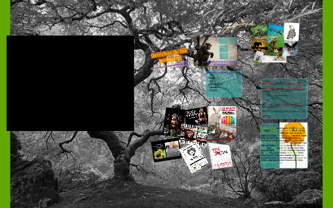 Derechos de los animales by Camila Piñeros on Prezi