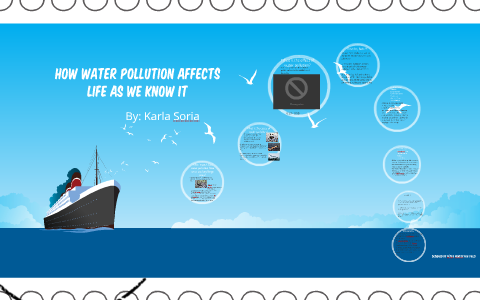 how water pollution affect marine life essay