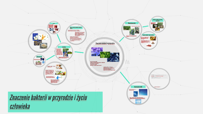 Znaczenie bakterii w przyrodzie i życiu człowieka by Adrianna