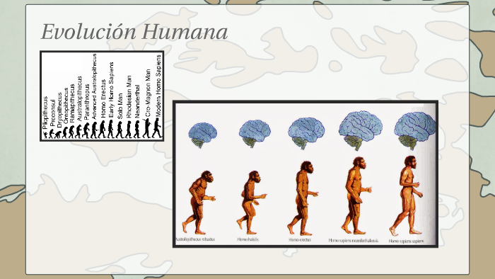 EVOLUCION FISICA Y CULTURAL DEL HOMBRE by Any Palma