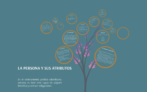 La Persona Y Sus Atributos By Valentina Lleras On Prezi