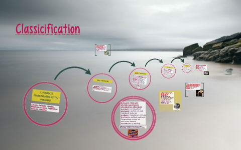 Bottlenose Dolphin by Melissa Yorio on Prezi