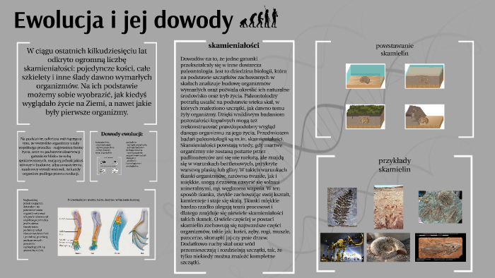 Puls życia 3 Ewolucja I Jej Dowody Sprawdzian Ewolucja i jej dowody by Piotr Karol on Prezi