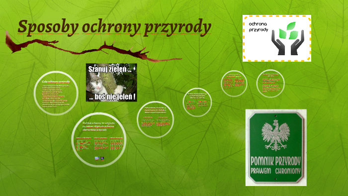 Sposoby Ochrony Przyrody By Natan Sabatowicz On Prezi