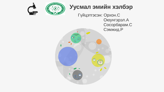 Уусмал эмийн хэлбэр by Orhon Love on Prezi