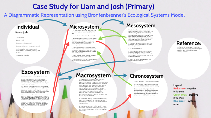 Applying bronfenbrenner theory examples image