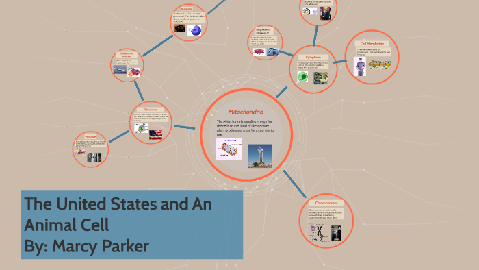 Trip Through an Animal Cell by Marcy Parker on Prezi