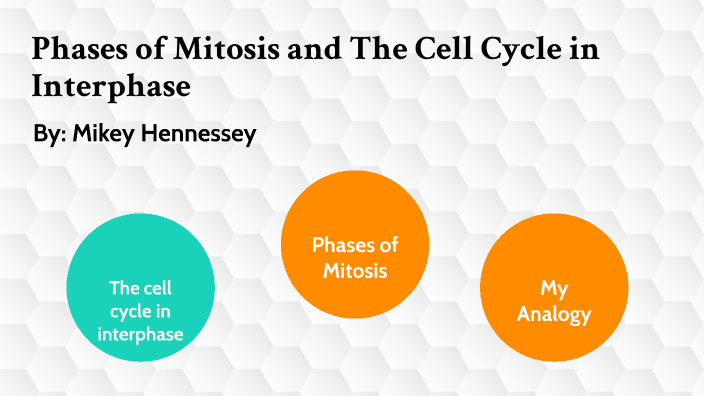 Phases of Mitosis and the cell cycle in interpase by Mikey Hennessey on ...