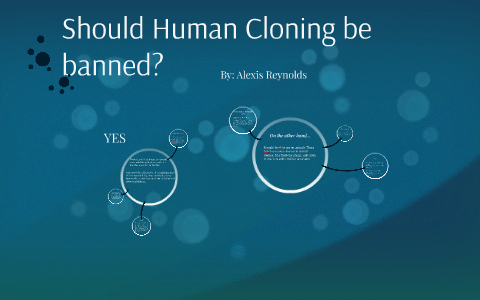 human cloning should be banned essay