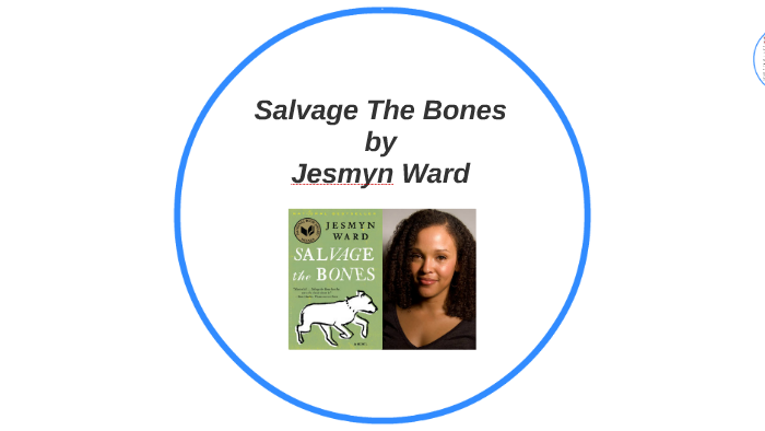 salvage the bones book