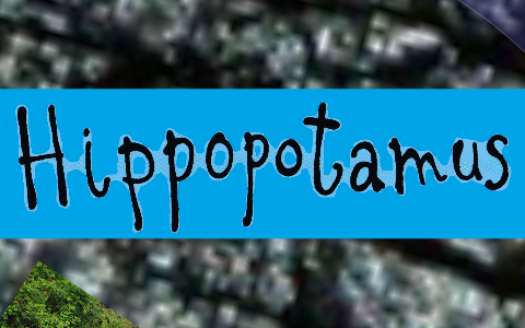 Hippo - Rumble in the Jungle by Sandy Levy on Prezi