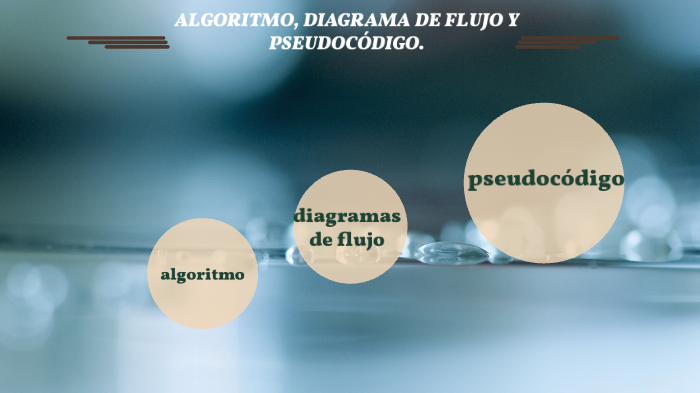 algoritmo, diagrama de flujo y pseudocodigo by alondra ambrocio on Prezi