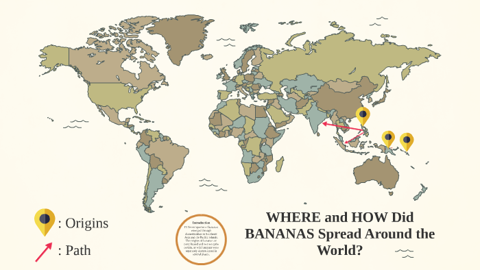 banana food journey