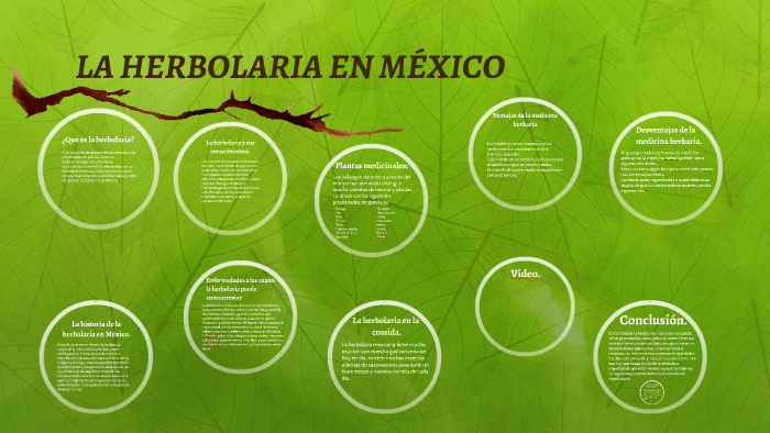 La Herbolaria En MÉxico By Samantha Salazar On Prezi 5204