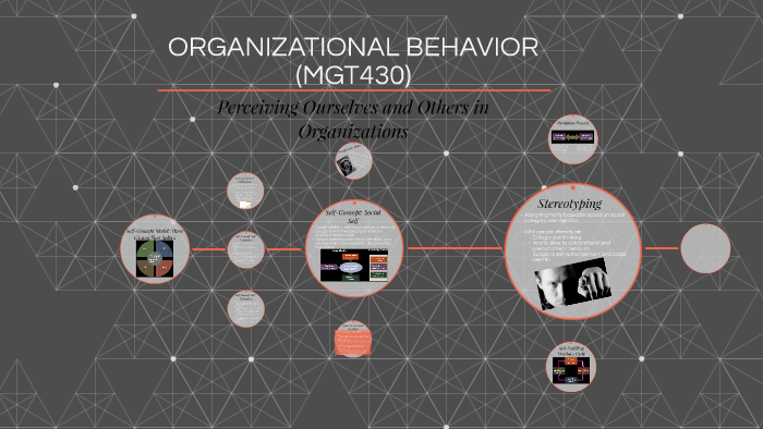 Mgt430 By Neena Azhar