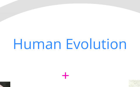 Human Evolution by Dwayne Camacho on Prezi
