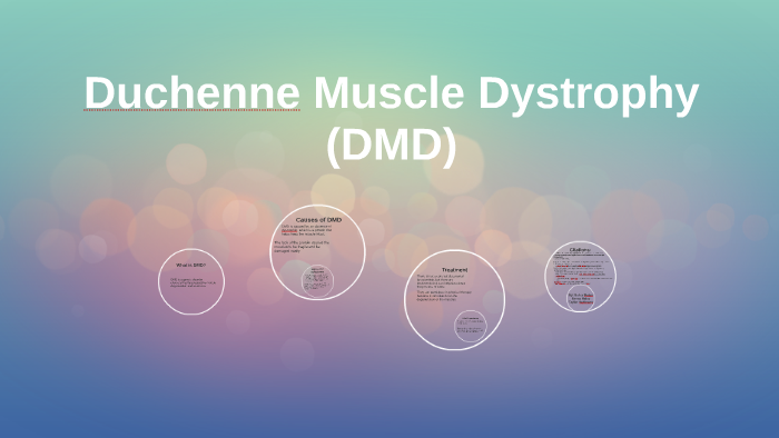 Duchenne Muscle Dystrophy Dmd By Taylor Hoffmann 3482