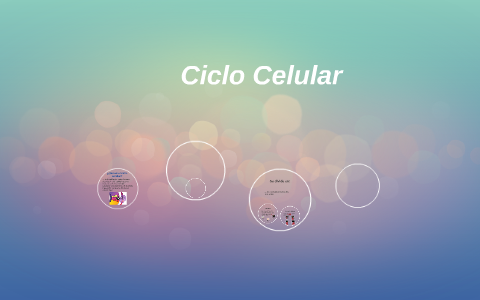 Ciclo Celular by maria mendoza on Prezi