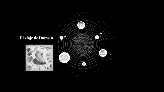 El Viaje De Darwin By Julieta Zarza