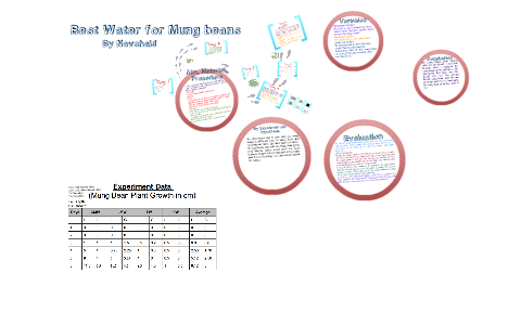 mung beans experiment water