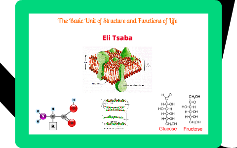 The Basic Unit of Structure and Function of Life by eli tsaba on Prezi