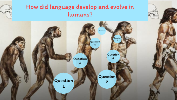 Evolution of a Question by Will Gaudian on Prezi