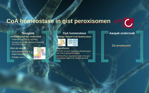 Sander Ruiter CoA homeostase in gist peroxisomen by Sander Ruiter on Prezi