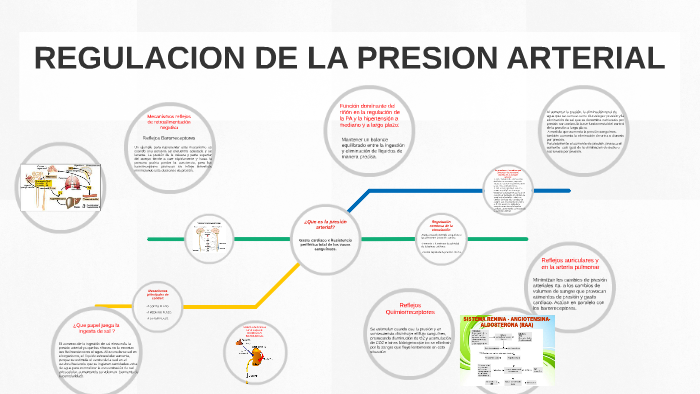 Regulacion De Presion Arterial