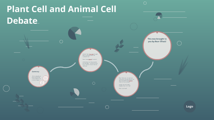 Plant Cell and Animal Cell Debate by Bear Elliott