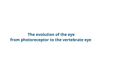 the evolution of the eye by Kevin Kraft on Prezi