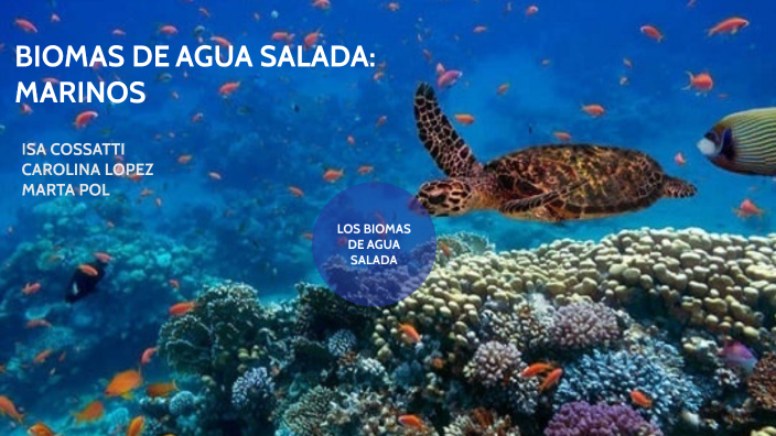 BIOMAS DE AGUA SALADA: MARINOS by Marta Pol on Prezi