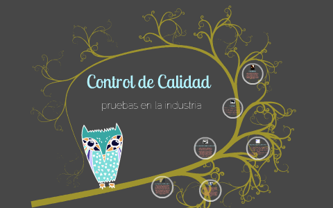 CONTROL DE CALIDAD by Araceli Pérez on Prezi
