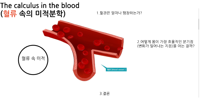 혈류속의 미적 by 연화 최 on Prezi