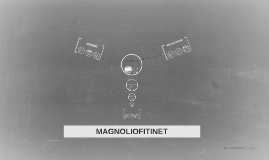 MAGNOFIOFITINET